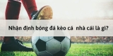 Lợi ích của việc nhận định bóng đá kèo nhà cái không phải ai cũng biết